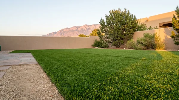 Team Albuquerque Turf Installation in Albuquerque