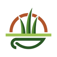 Albuquerque Turf Installation